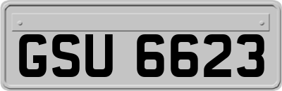 GSU6623