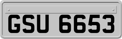 GSU6653