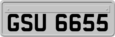 GSU6655