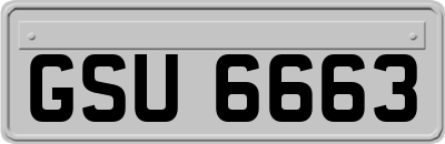 GSU6663