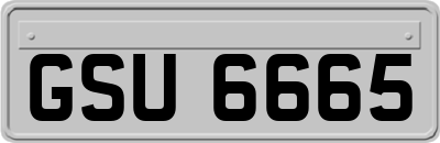 GSU6665