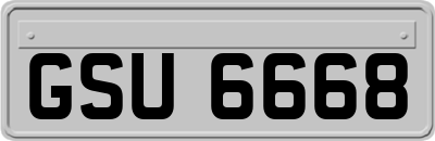 GSU6668