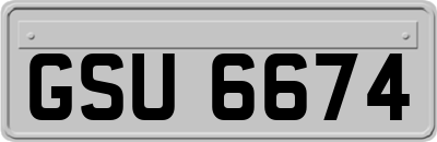 GSU6674
