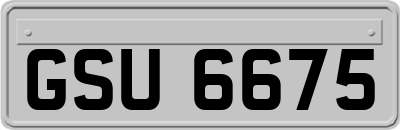 GSU6675