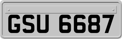 GSU6687