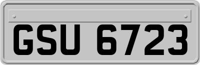 GSU6723