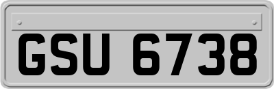 GSU6738