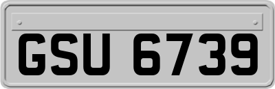 GSU6739