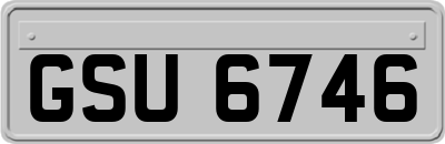 GSU6746