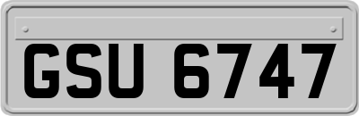 GSU6747