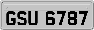 GSU6787