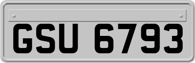 GSU6793
