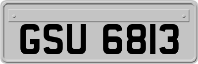 GSU6813