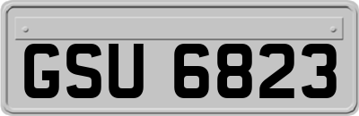 GSU6823