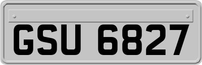 GSU6827