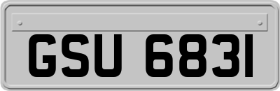 GSU6831