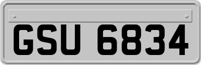 GSU6834