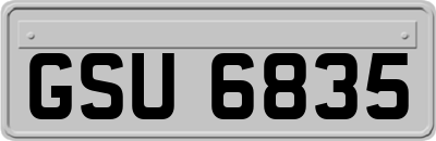 GSU6835