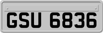 GSU6836