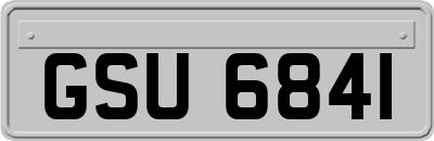 GSU6841