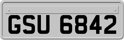 GSU6842