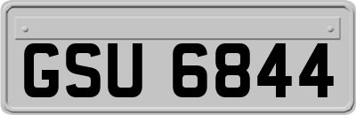 GSU6844