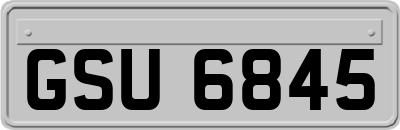 GSU6845