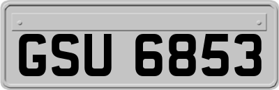 GSU6853