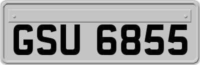 GSU6855