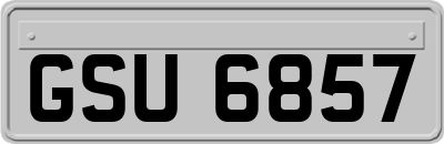GSU6857