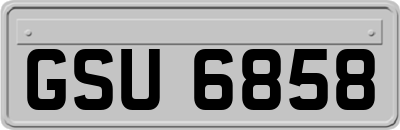 GSU6858