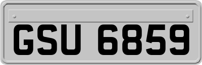 GSU6859