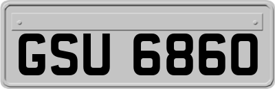 GSU6860