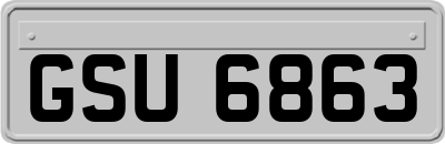 GSU6863
