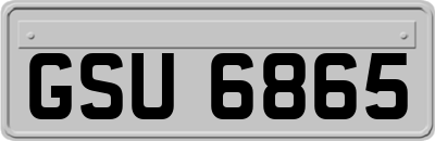 GSU6865