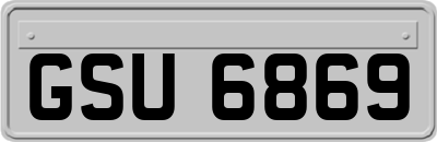 GSU6869