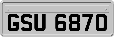 GSU6870