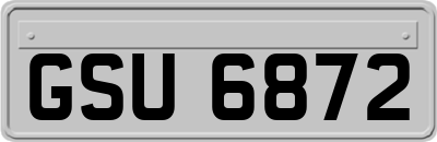 GSU6872