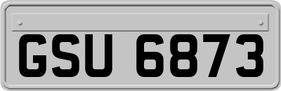 GSU6873