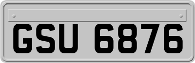 GSU6876