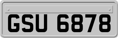 GSU6878