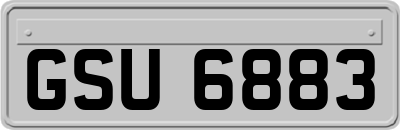 GSU6883