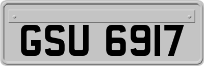 GSU6917