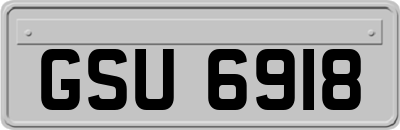 GSU6918