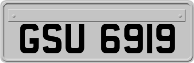 GSU6919