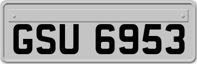 GSU6953