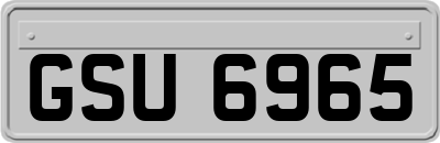 GSU6965