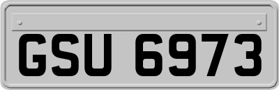 GSU6973