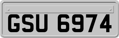 GSU6974