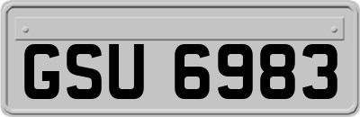 GSU6983